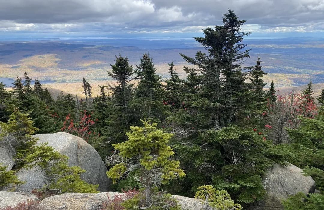 Lyon Park, NY - Lyon Mountain Firetower Trail, New York - 1,754 Reviews, Map | AllTrails